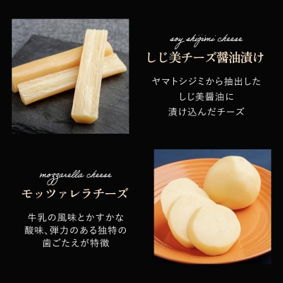ひがしもこと乳酪館 チーズ食べ比べセット 6種 B(※旧チーズオールスターズお試しセット) 