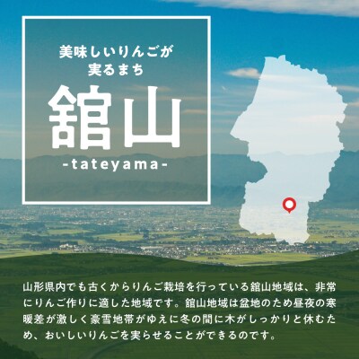 【先行受付】 令和8年産 舘山りんご 品種おまかせ 約5kg 16玉 ～ 20玉