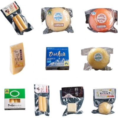 ひがしもこと乳酪館 チーズ詰め合わせセット 10種 OSA069