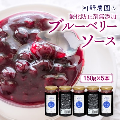 河野農園の酸化防止剤無添加ブルーベリーソース150g×5本_1450R
