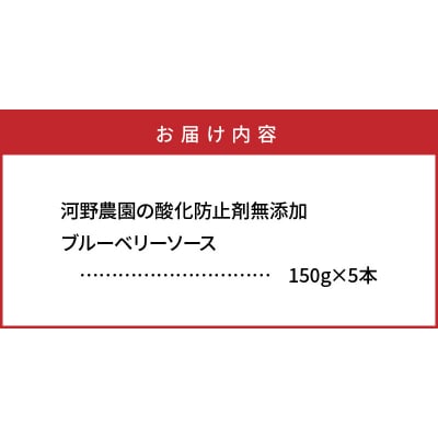 河野農園の酸化防止剤無添加ブルーベリーソース150g×5本_1450R