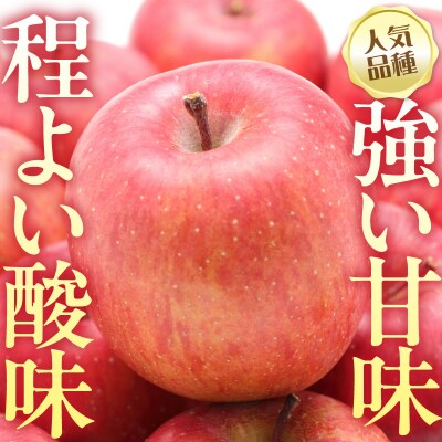 【先行受付】 令和8年産 舘山りんご ふじ 約2.5kg 9玉 ～ 11玉