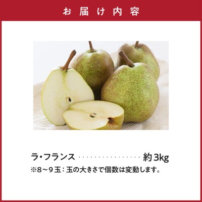 【先行受付】 令和8年産 ラ・フランス 約3kg 8玉 ～ 9玉