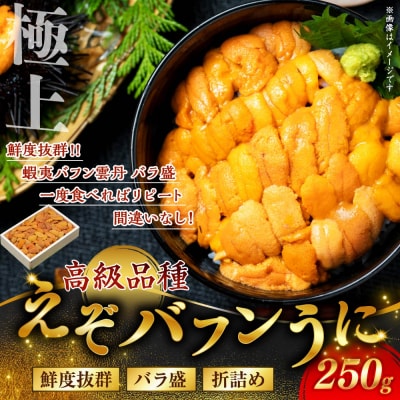 【剥きたて発送!!鮮度抜群!生ウニ】生うに折250g F4F-3210