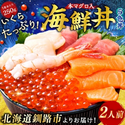 いくら海鮮丼セット 2人用 イクラ いくら 海鮮丼 刺身 真空パック F4F-8626