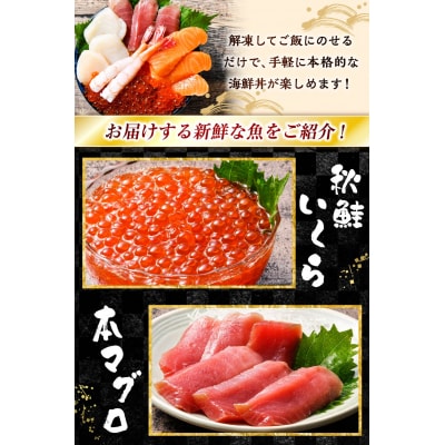 いくら海鮮丼セット 2人用 イクラ いくら 海鮮丼 刺身 真空パック F4F-8626