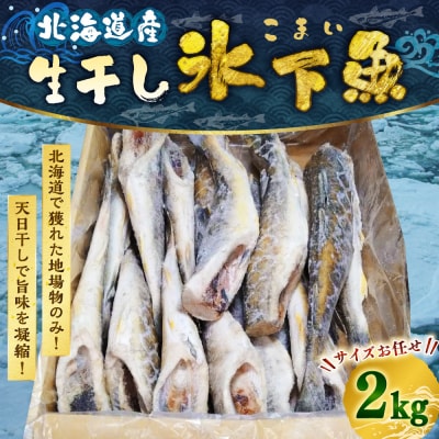 干し氷下魚(サイズお任せ)1kg×2ケース こまい コマイ 魚 白身魚 おつまみ F4F-2597
