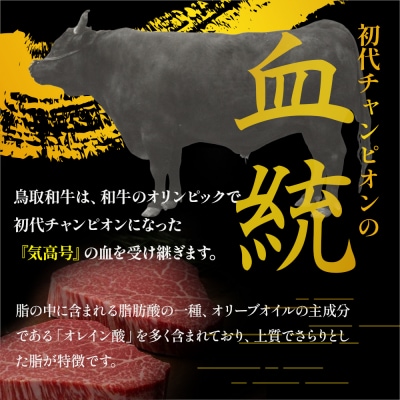 鳥取和牛 オレイン55 ヒレステーキ 2枚(250g) 黒毛和牛 肉 国産 KR0324