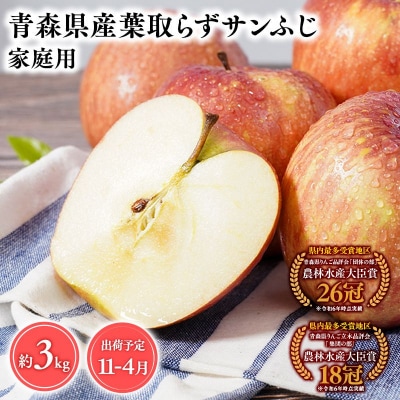 11月～4月発送　【訳あり】家庭用葉とらずサンふじ3kg　【そと川りんご園・りんご】