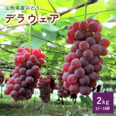 ぶどう(デラウェア)2kg　0085-2601