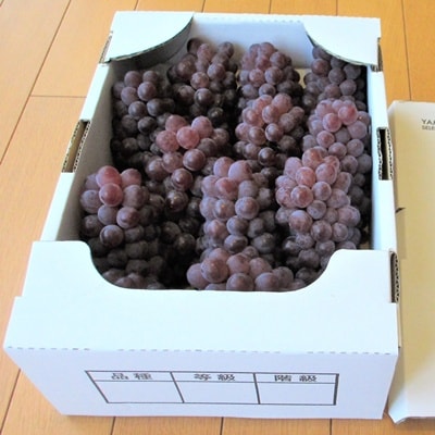 ぶどう(デラウェア)2kg　0085-2601