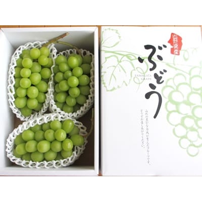 ぶどう(シャインマスカット)1.7kg以上　0085-2603