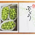 ぶどう(シャインマスカット)1.5kg　ご家庭用　0085-2502