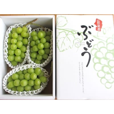 ぶどう(シャインマスカット)1.5kg　ご家庭用　0085-2602