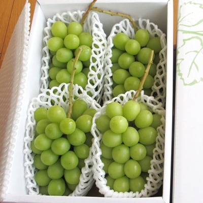 ぶどう(シャインマスカット)1.5kg　ご家庭用　0085-2602