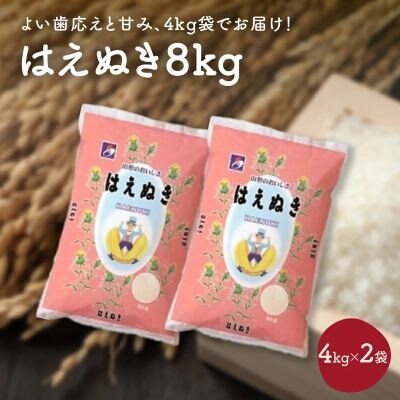 令和7年産 はえぬき8kg(4kg×2袋)　0059-2507