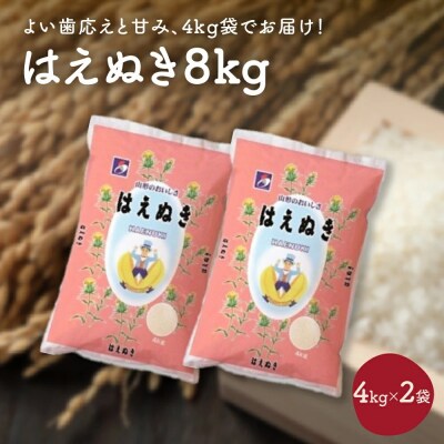 令和7年産 はえぬき8kg(4kg×2袋)　0059-2523