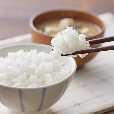 令和元年産 山形県産無洗米キューブ詰合せ300g×20 0059-210