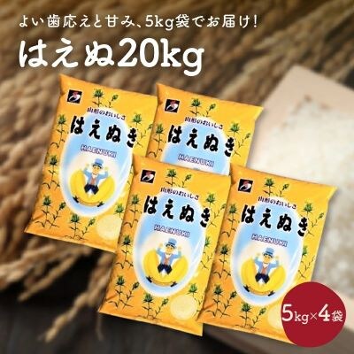令和7年産 はえぬき20kg(5kg×4袋)　0059-2508