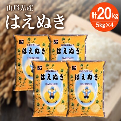 令和7年産 はえぬき20kg(5kg×4袋)　0059-2524