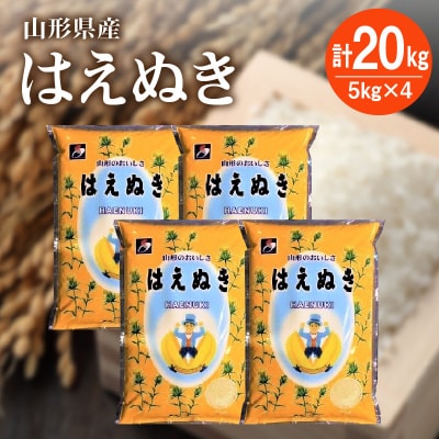 【R8年10月~発送】令和8年産 はえぬき20kg(5kg×4袋)　0059-2614