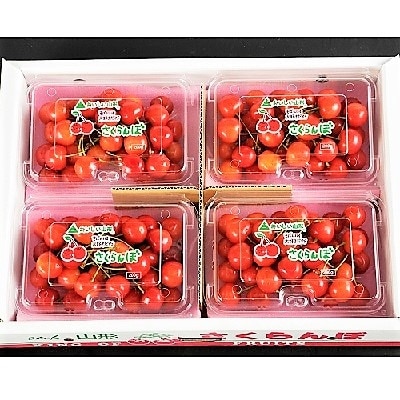 さくらんぼ(佐藤錦か紅秀峰)800g フードパック入り 0020-2103