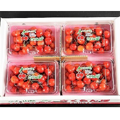 さくらんぼ(佐藤錦か紅秀峰)800g フードパック入り 0020-2103