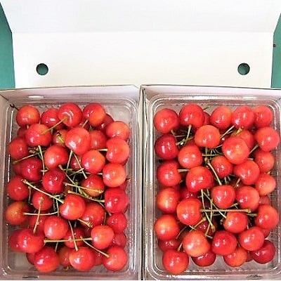 さくらんぼ(佐藤錦)1kg　0015-2602