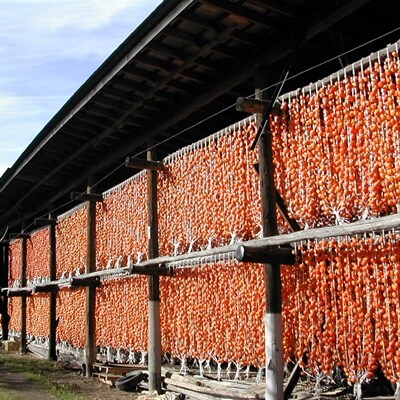 べ二ドール(遠赤外線仕上げ乾燥紅干し柿)20個入り　0085-2606