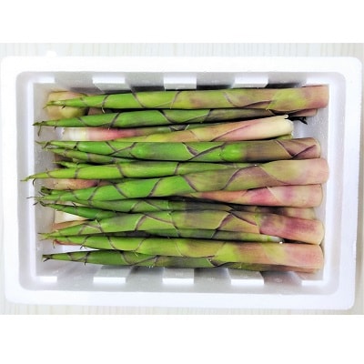 蔵王根曲がりタケノコ　1kg　0098-2601