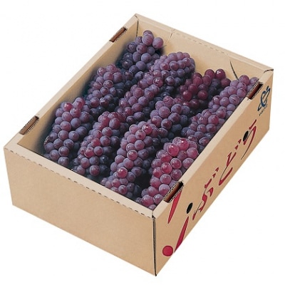 ぶどう(デラウェア)2kg　0060-2607