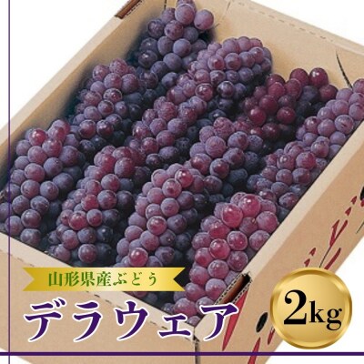 ぶどう(デラウェア)2kg　0060-2607