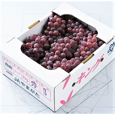 ぶどう(キングデラ)2kg　0060-2606