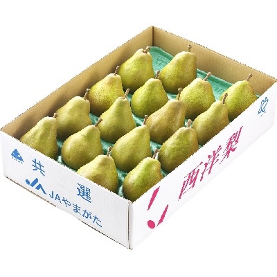 西洋梨(オーロラ)5kg　12～16玉　特秀品　0060-2511