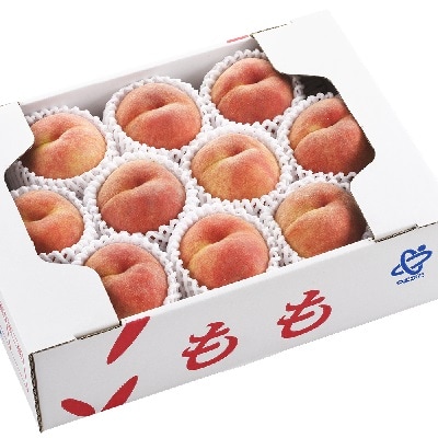 季節の桃(品種おまかせ)3kg　0060-2610