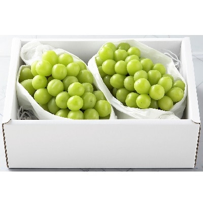 ぶどう(シャインマスカット)2～3房　ご家庭用　0060-2611