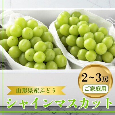 ぶどう(シャインマスカット)2～3房　ご家庭用　0060-2611