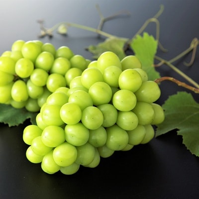 ぶどう(シャインマスカット)1房　0060-2612