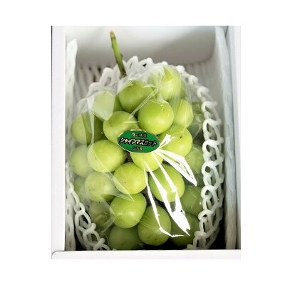 ぶどう(シャインマスカット)1房　0060-2612