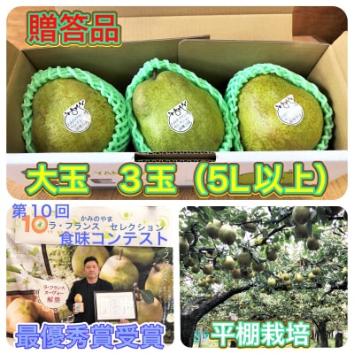 西洋梨(ラ・フランス)大玉3玉　贈答品　0102-2502