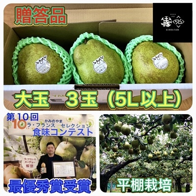 西洋梨(ラ・フランス)大玉3玉　贈答品　0102-2603