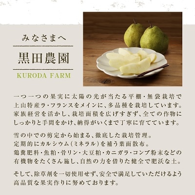 西洋梨(ラ・フランス)大玉3玉　贈答品　0102-2502
