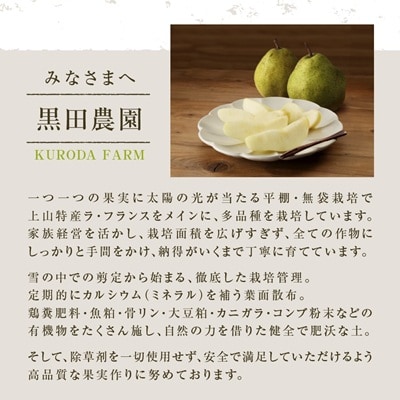 西洋梨(ラ・フランス)大玉3玉　贈答品　0102-2603