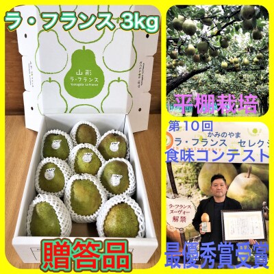 ラ・フランス　3kg　贈答品　0102-2303 | ふるさと納税のお礼品