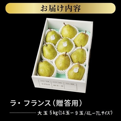 ラフランス 5kg 贈答品 大玉 14玉~9玉 4L~7L 西洋梨 ラ・フランス 0102-2607