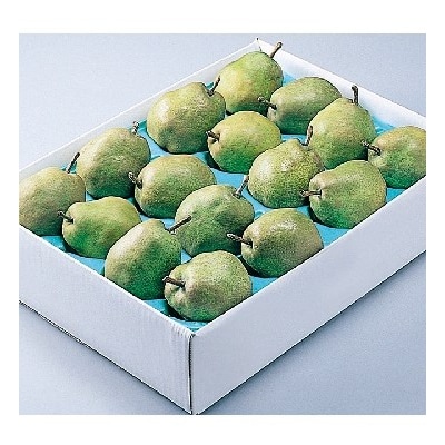 西洋梨(ラ・フランス)5kg　12～16玉　特秀品　0060-2515