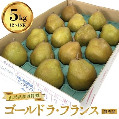 西洋梨(ゴールドラフランス)5kg　12～16玉　特秀品　0060-2614