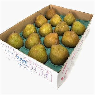 西洋梨(ゴールドラフランス)5kg　12～16玉　特秀品　0060-2614
