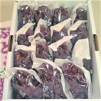 ぶどう(デラウェア)　0009-2601