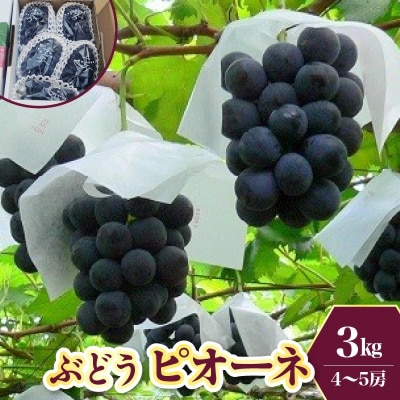 ぶどう(ピオーネ)3kg　0009-2604